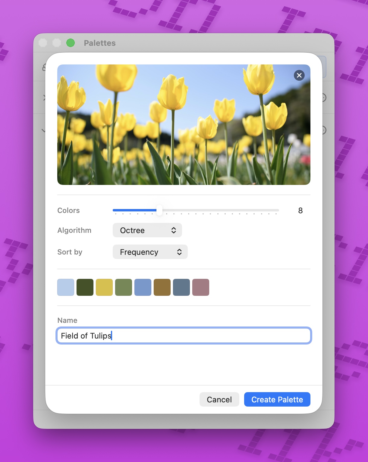 ColorCopy's New Palette from Image dialog, extracting colors from a photograph